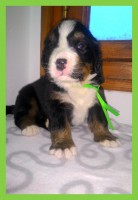 /album/a3-tyzden-3rd-week/kolaz-iii-5-1-jpg/